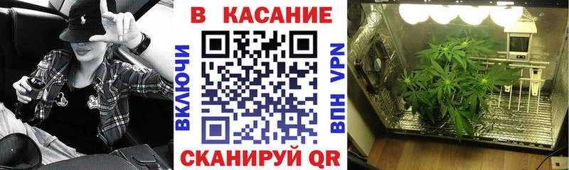 Сколько стоит Шенкурск Alpha PVP ГАШ