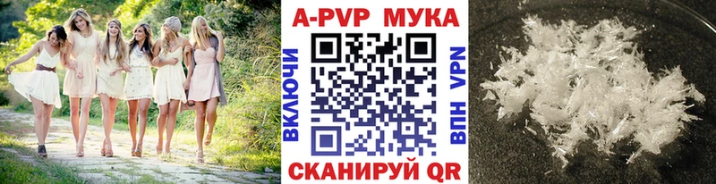 Alfa_PVP СК  Шенкурск 