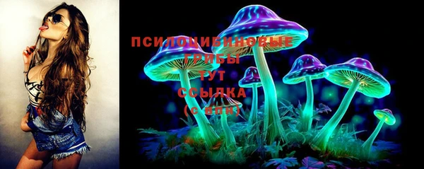 дмт Аркадак